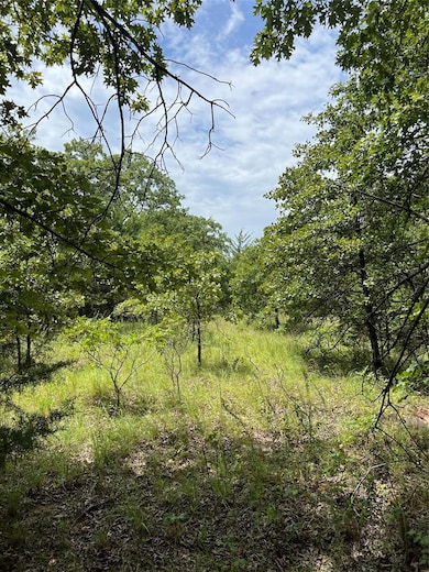 View of undeveloped land