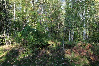 L4 B20 WB16 Summer Dr, Breezy Point, MN 56472 - photo 3