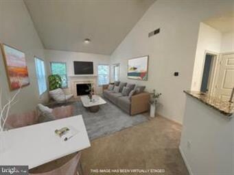 4404 Helmsford Ln unit 201, Fairfax, VA 22033 - photo 4