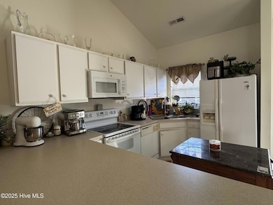 206 Hibiscus Way, Wilmington, NC 28412 - photo 6