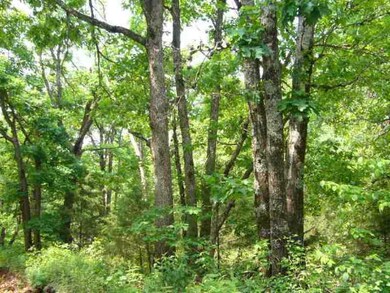 13760 Green Rd, West Fork, AR 72774 - photo 4