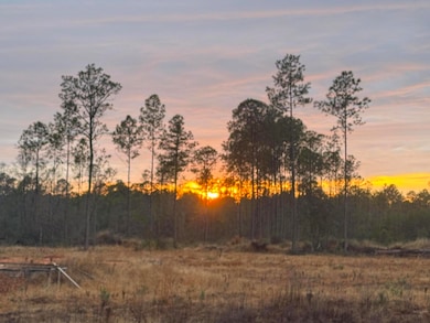 1628 Joe Dugger Rd, Freeport, FL 32439 - photo 5