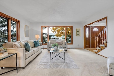 Open, Light and Bright Living Room