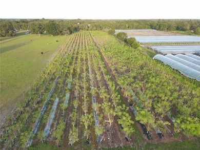 16070 Carlton Lake Rd, Wimauma, FL 33598 - photo 3