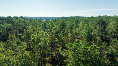 24398 Lot 17 Fm 3173, Broaddus, TX 75929 - photo 5