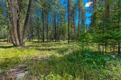 Nhn Kelley Dr, Bigfork, MT 59911 - photo 4