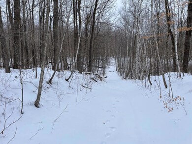 tbd Pebble Pass, Cushing Township, MN 56443 - photo 6