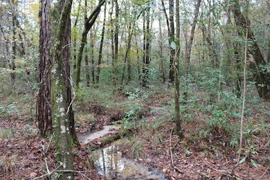 100AC County Highway 183, Ponce de Leon, FL 32455 - photo 3