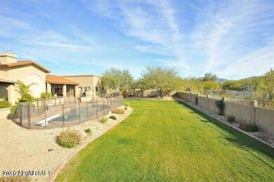#23 Grassy yard