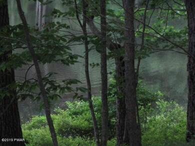 4-AR Lakefront Dr, Paupack Township, PA 18428 - photo 6