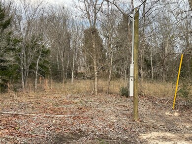 1320 Cypress Trail Loop, Rockdale, TX 76567 - photo 4