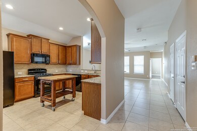 3722 Texas Sotol, San Antonio, TX 78261 - photo 6