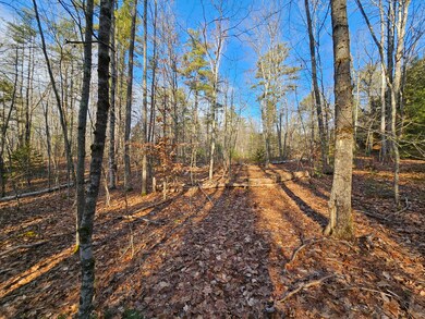 10-29.1 River Rd, Dresden, ME 04342 - photo 3