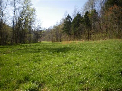 0 Hurricane Creek Rd unit RTC1290437, Linden, TN 37096 - photo 3