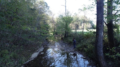 0 Phelps Dunham Rd, Edmonton, KY 42129 - photo 7