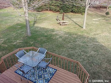 Backyard. Backyard deck, spacious yard and privacy