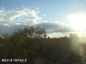 Tomorrow Never Knows