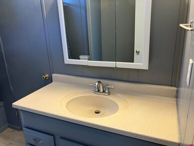 220 NW Elm Ave, Cedaredge, CO 81413 - photo 7