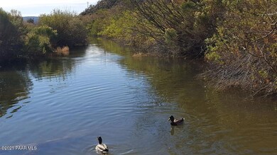 Pond