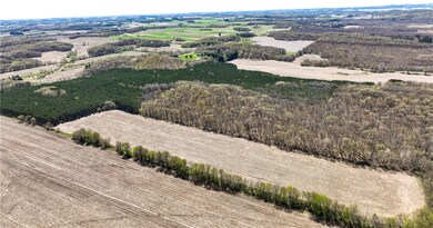 0 Highway 93 unit 1589347, Eleva, WI 54738 - photo 6