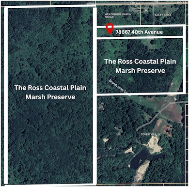 78667 40th Ave, Covert, MI 49043 - photo 3