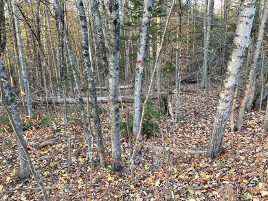 00 Arno Rd, Dexter, ME 04930 - photo 5