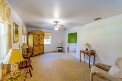 Florida Palm-2671