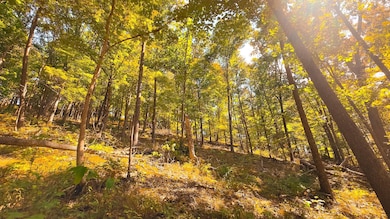 16932 State Route 335, Beaver, OH 45613 - photo 4