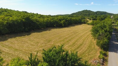 1 Hawthorne Hill Rd, Shelbyville, TN 37160 - photo 4