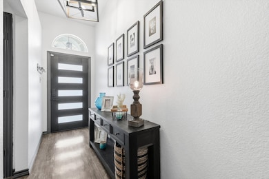 850 Mellanie Ct, Celina, TX 75009 - photo 4