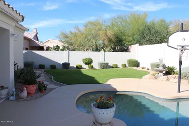 Large Grass Area