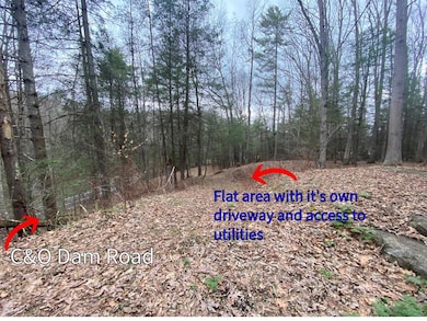 1599 C and O Dam Rd, Daniels, WV 25832 - photo 5