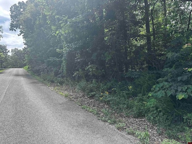 Lts 35-37 River Ranch Rd, Mountain Home, AR 72653 - photo 4