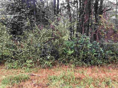 0 Curry Dr, Macon, GA 31211 - photo 5