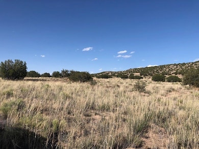 Lots 4&5 Santa California Subd, Medanales, NM 87510 - photo 2