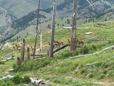 Lot 6 Dickson Creek Rd, Darby, MT 59829 - photo 6