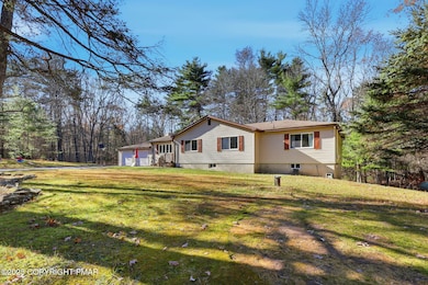 104 Scotch Pine - Frontyard