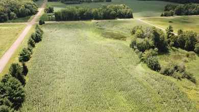 TBD 313th Ave NE, North Branch, MN 55056 - photo 3