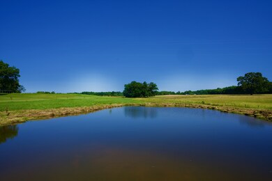 1 Browntown Rd, Sparta, TN 38583 - photo 5