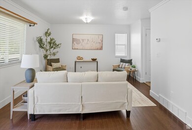 Living area featuring dark wood-type flooring and crown molding