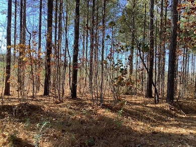 Lewis Ford Road (Lot 8), Brookneal, VA 24528 - photo 4