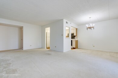 18501 Wentworth Ave unit 1A, Lansing, IL 60438 - photo 6