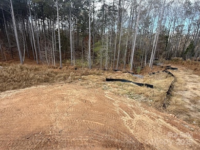 1590 Autumn Ln unit 116, York, SC 29745 - photo 4