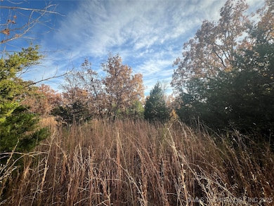 0029 Ruisdael Rd, Sand Springs, OK 74063 - photo 2