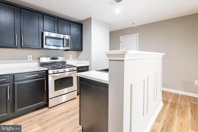 42233 Black Rock Terrace unit 311, Stone Ridge, VA 20105 - photo 6