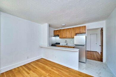 2 Dickson St, Somerville, MA 02144 - photo 4