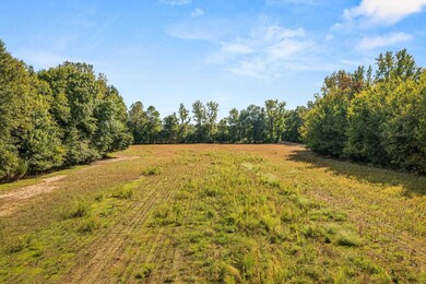 0 Osborntown Rd unit 10208347, Unincorporated, TN 38002 - photo 4