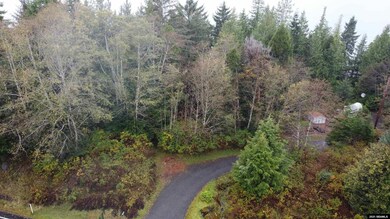 16000 BLK N Tongass Hwy unit Tract F 16000 BLK N, Ketchikan, AK 99901 - photo 3