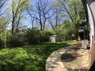 Backyard 1