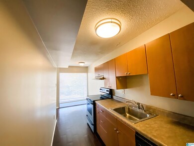 2990 Rhodes Cir S unit 312, Birmingham, AL 35205 - photo 6